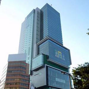 割れにくい日差しや影のかかる建物